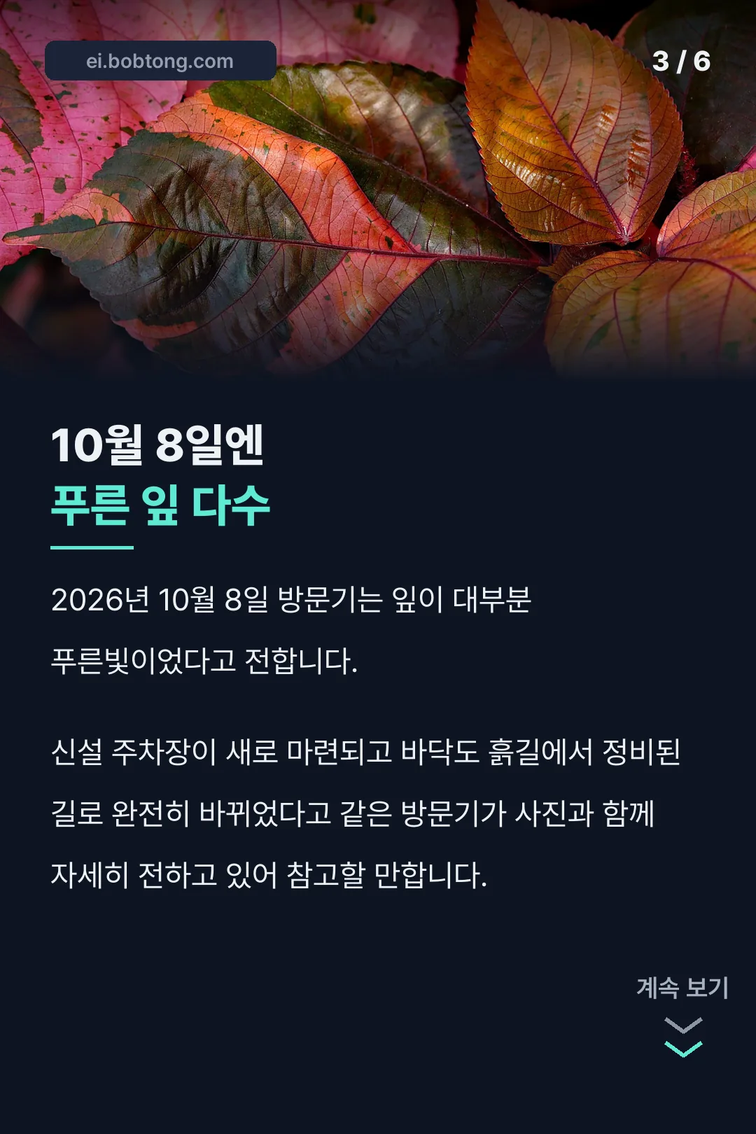 10월 8일 방문 현황