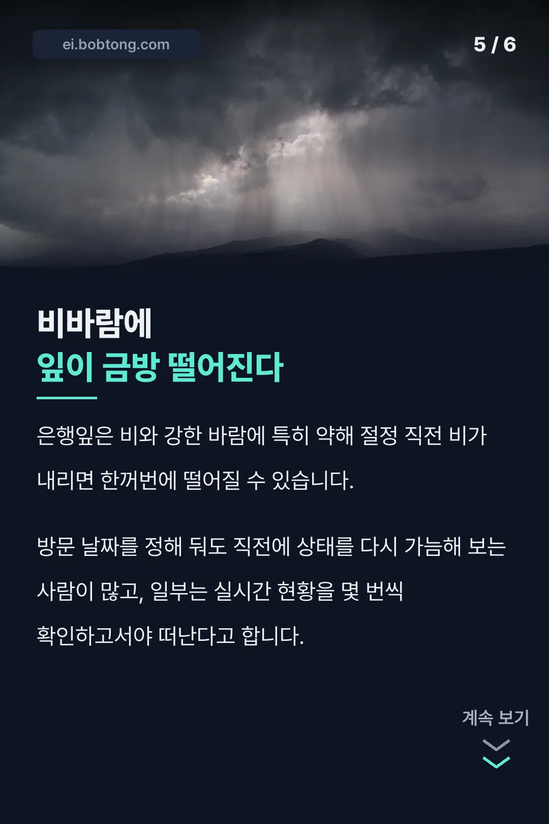 비바람에 약한 특징