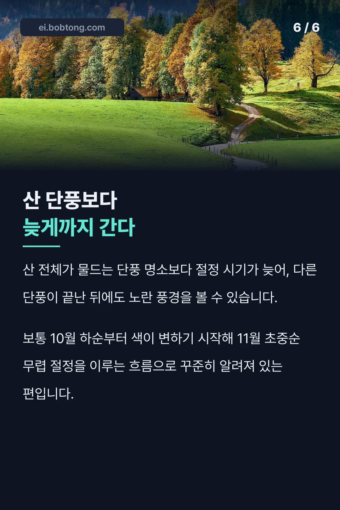 산 단풍과의 비교