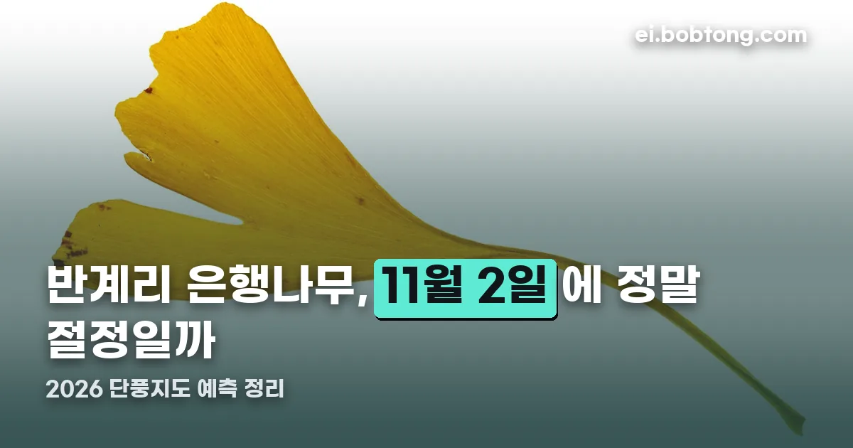 반계리 은행나무 절정 정리 썸네일
