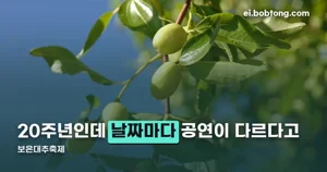 보은대추축제 — 2026년엔 열흘간, 날짜마다 공연이 다릅니다