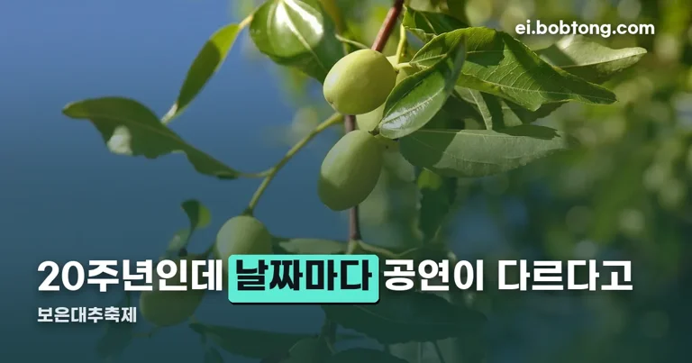 보은대추축제 정리 썸네일