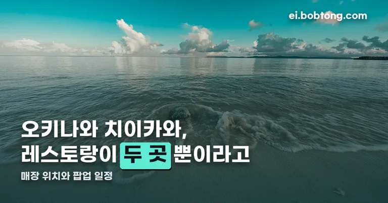 오키나와 치이카와 정리 썸네일