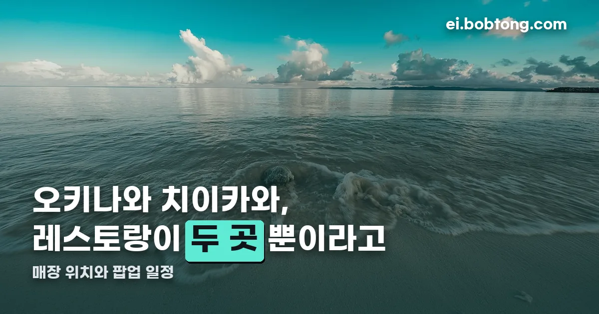 오키나와 치이카와 정리 썸네일