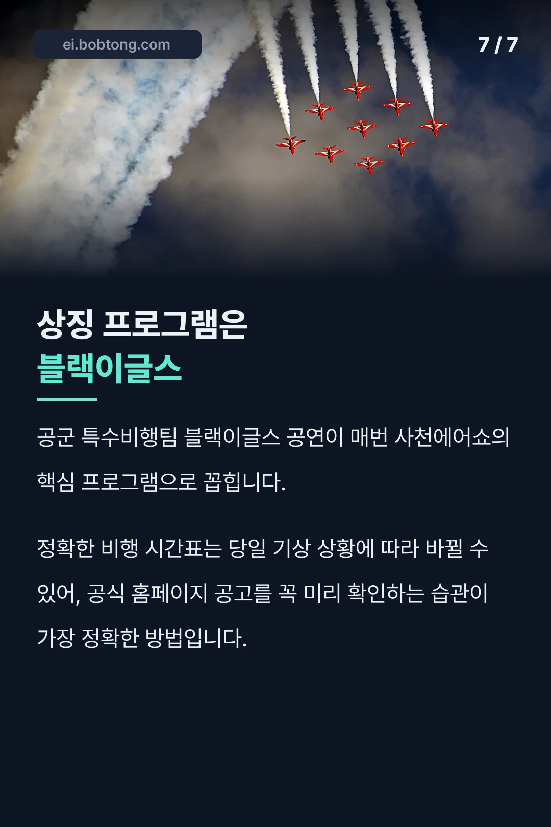 블랙이글스 공연 안내