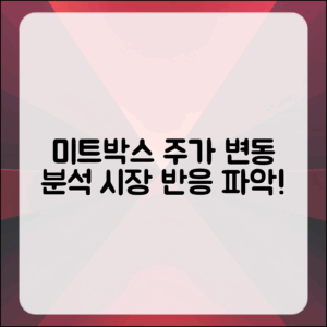 미트박스 주가 변동 마스터하기: 시장 반응 분석