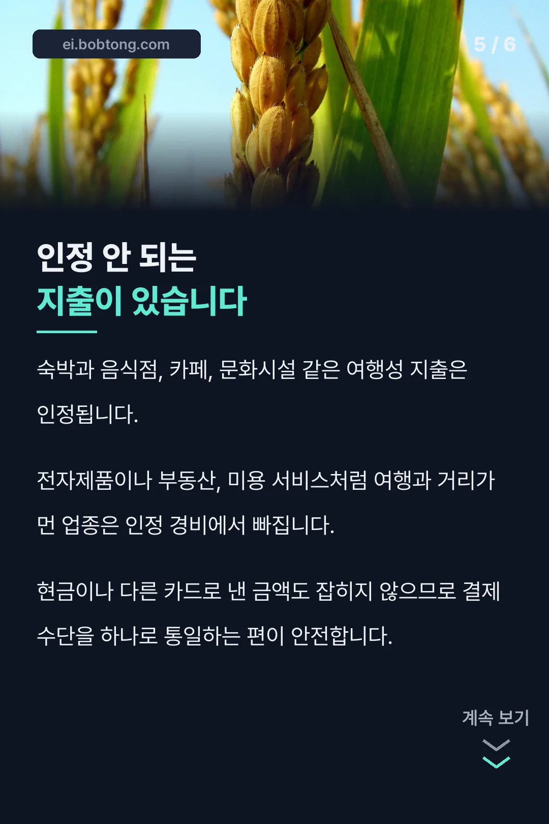 인정 안 되는 지출