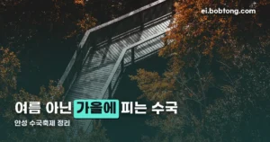 안성 수국축제 정리 썸네일