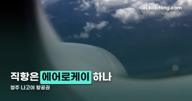청주 나고야 항공권 정리 썸네일