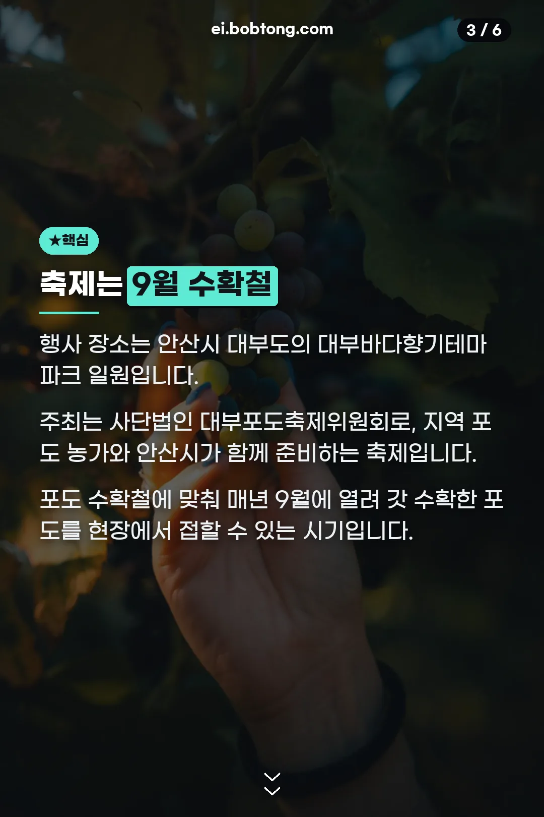9월 수확철 축제