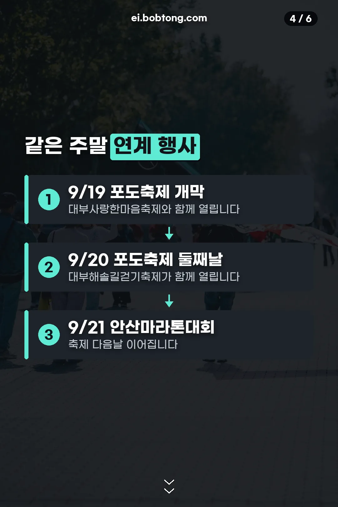 같은 주말 연계 행사