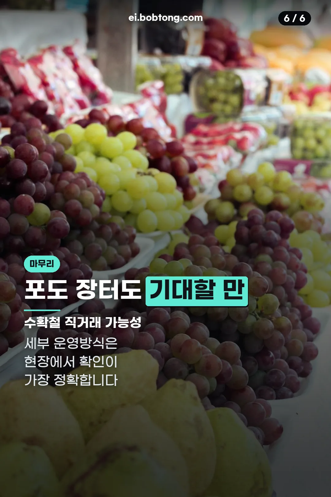포도 장터 마무리