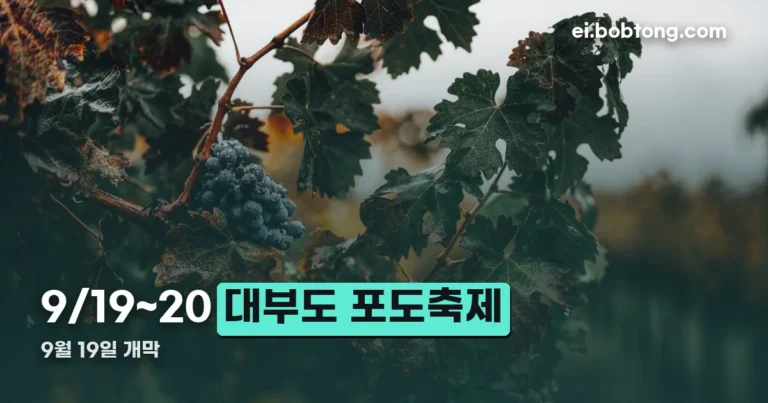 대부도 포도축제 정리 썸네일