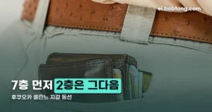 후쿠오카 셀린느 지갑 정리 썸네일
