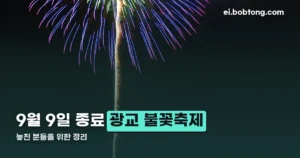 광교호수공원 불꽃축제 정리 썸네일