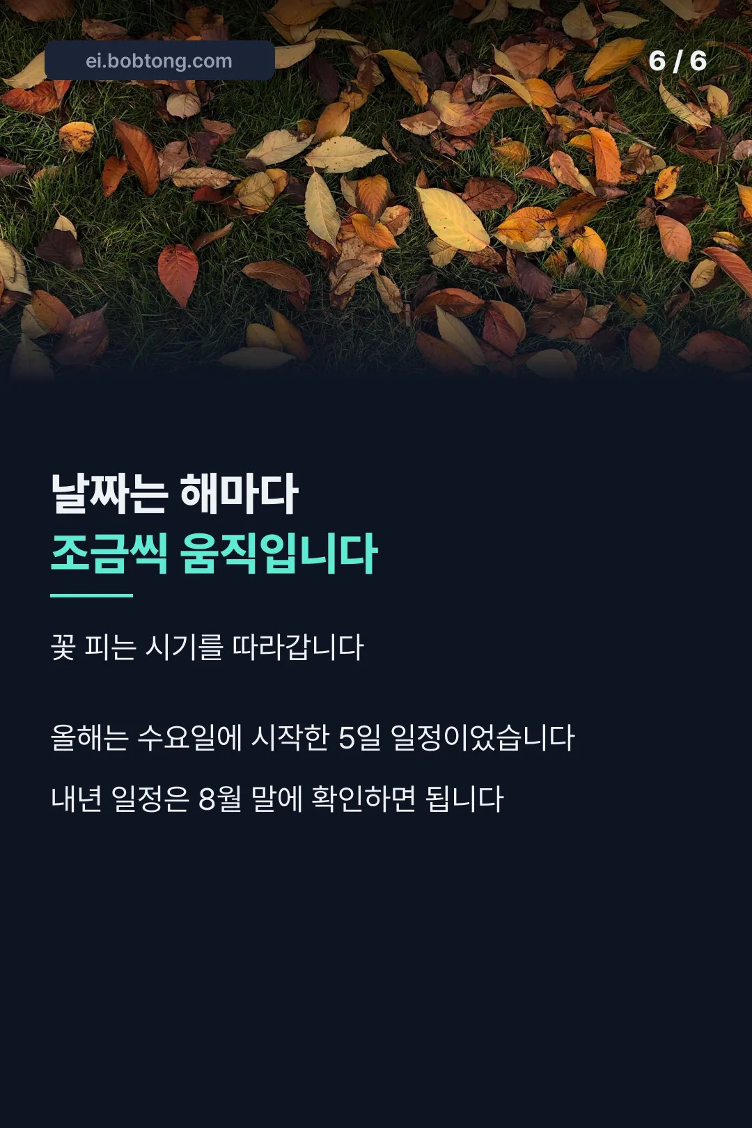 해마다 날짜가 움직입니다