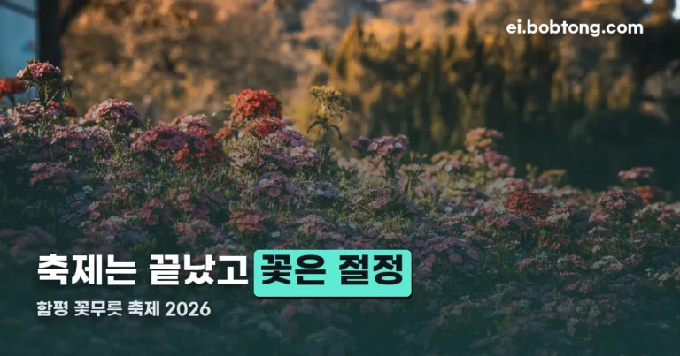 함평 꽃무릇 축제 정리 썸네일