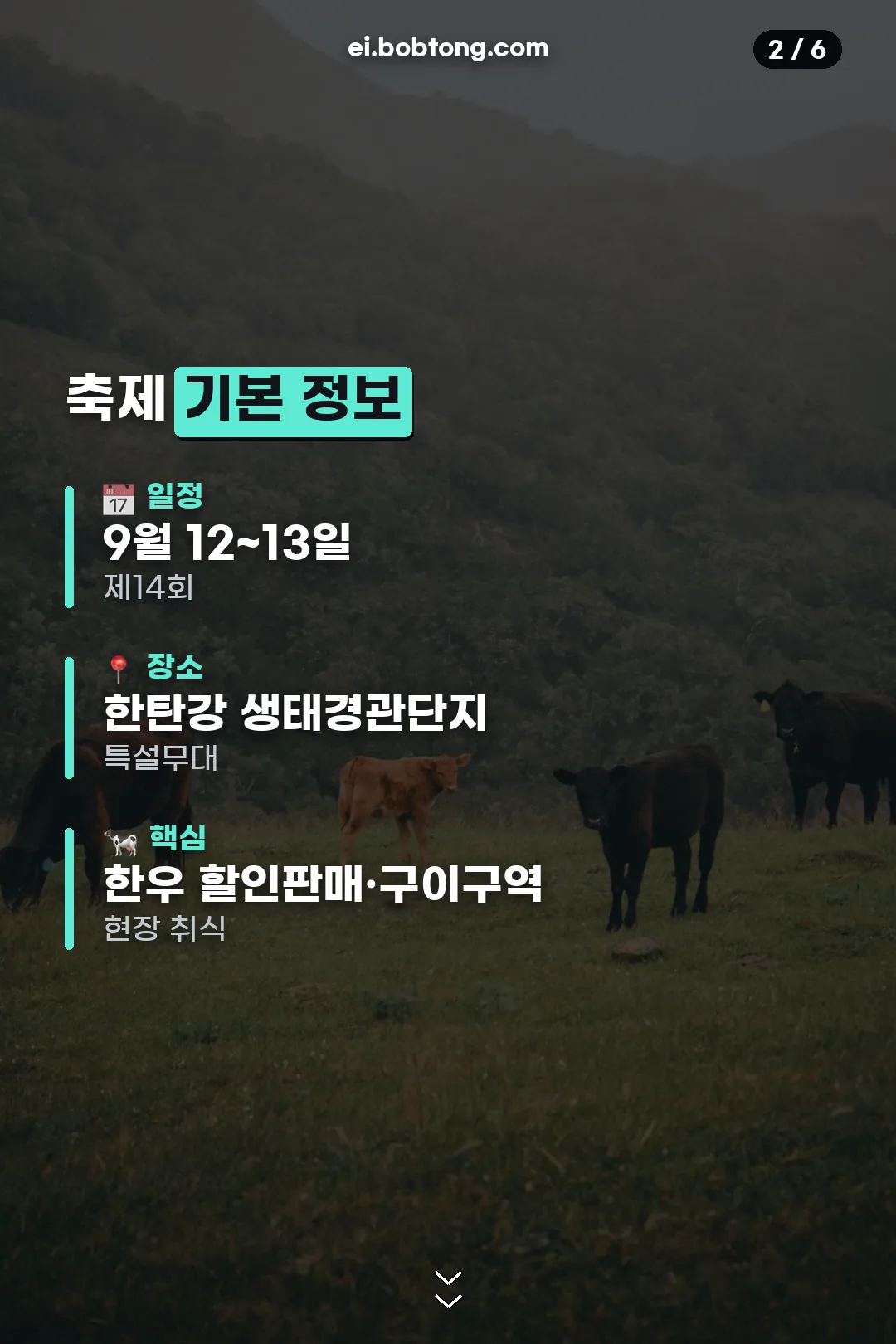 축제 기본 정보 정리