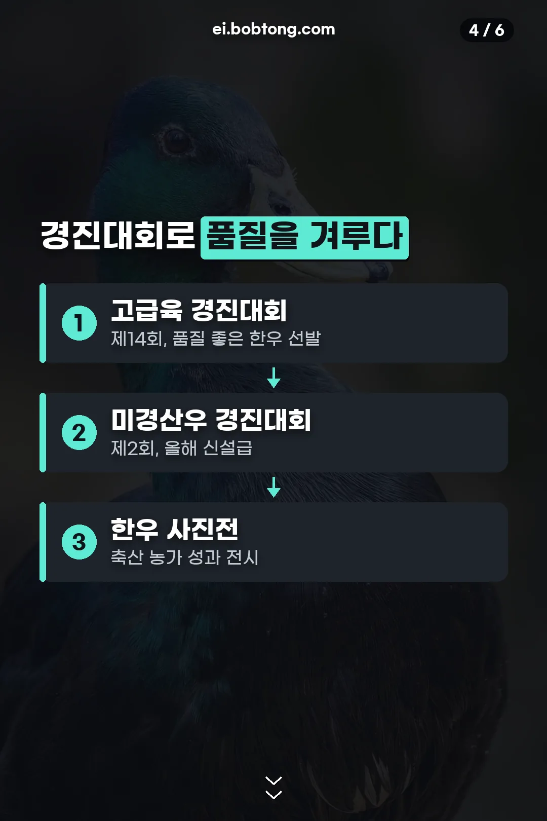 경진대회로 품질을 겨루다