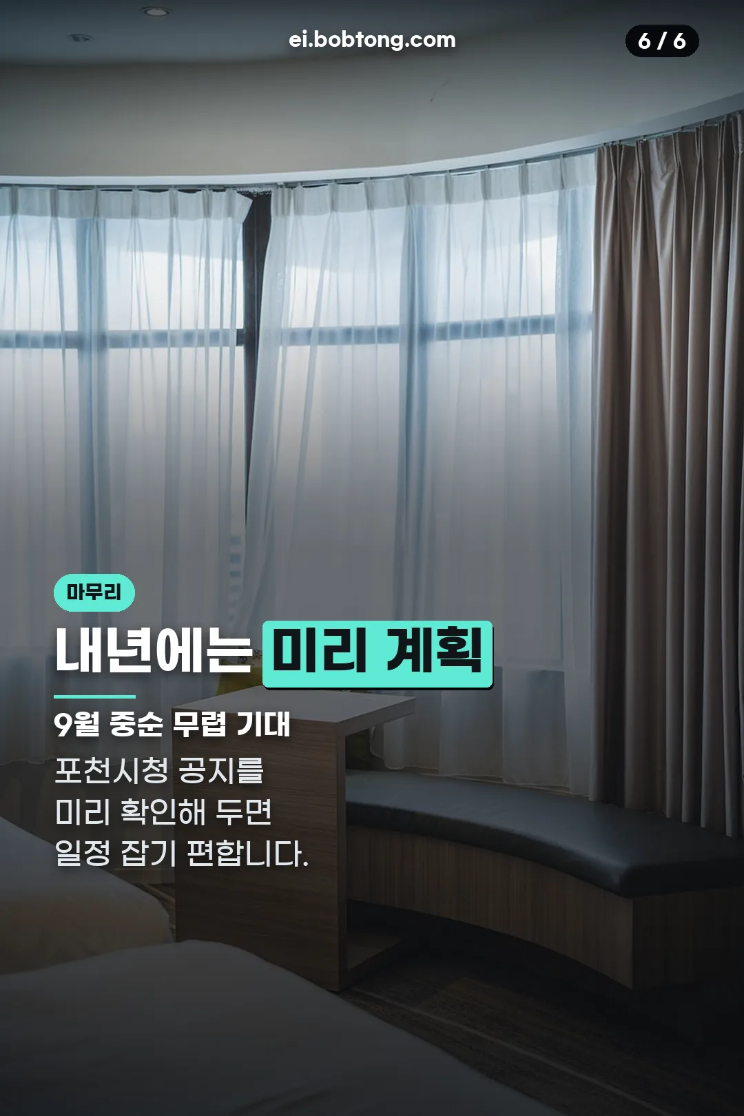 내년 축제 준비 마무리