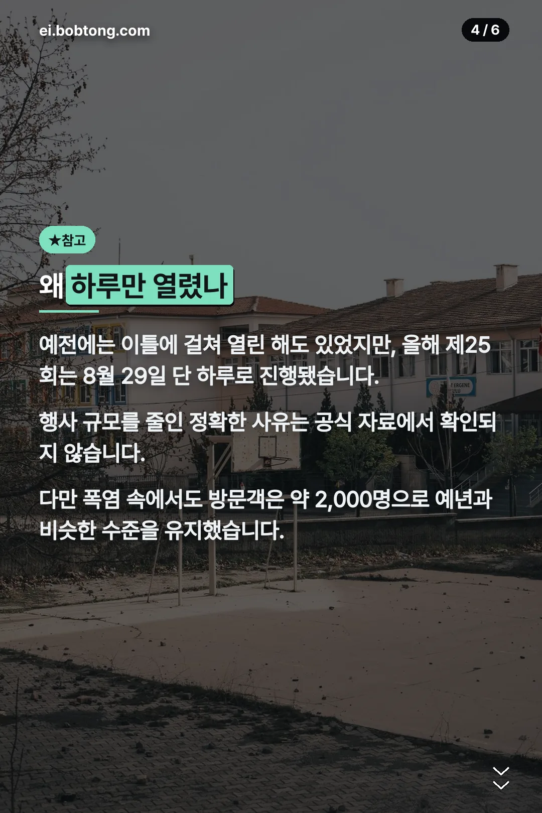 하루만 열린 이유