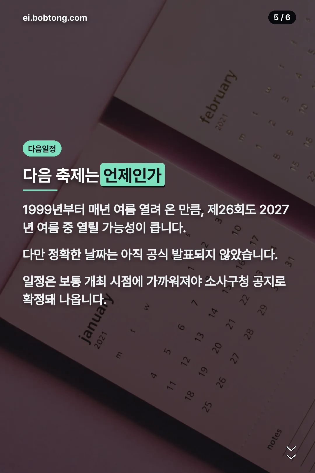 다음 축제 일정
