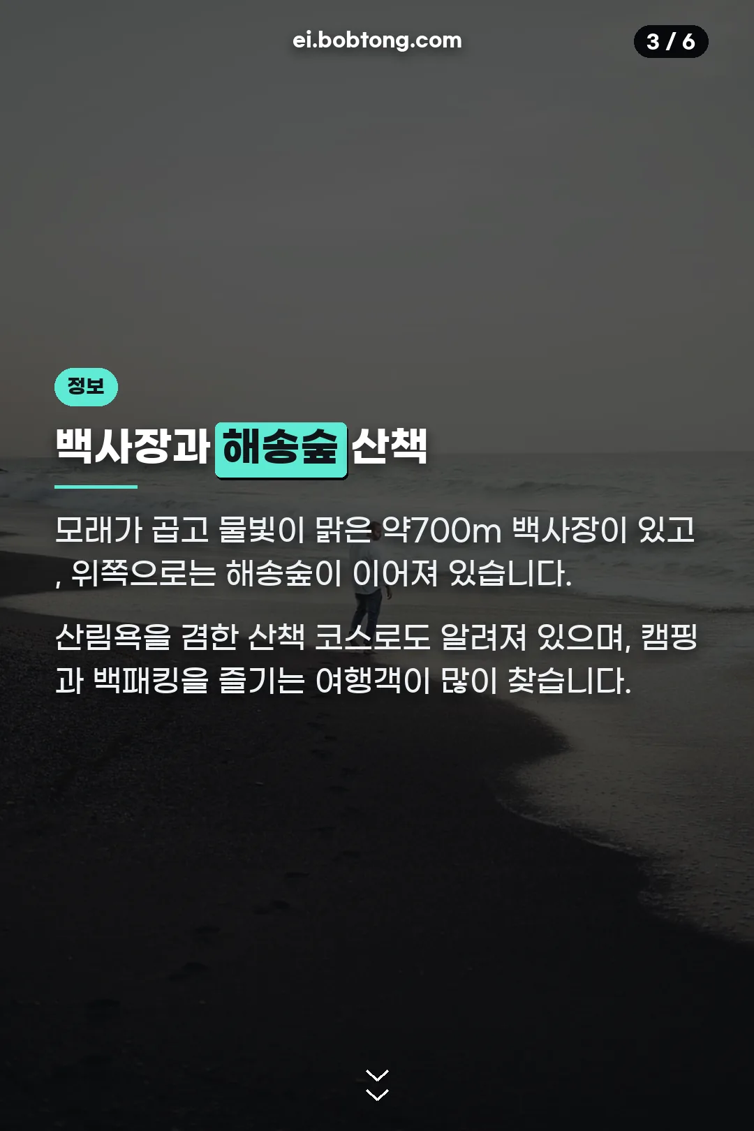 백사장과 해송숲 산책