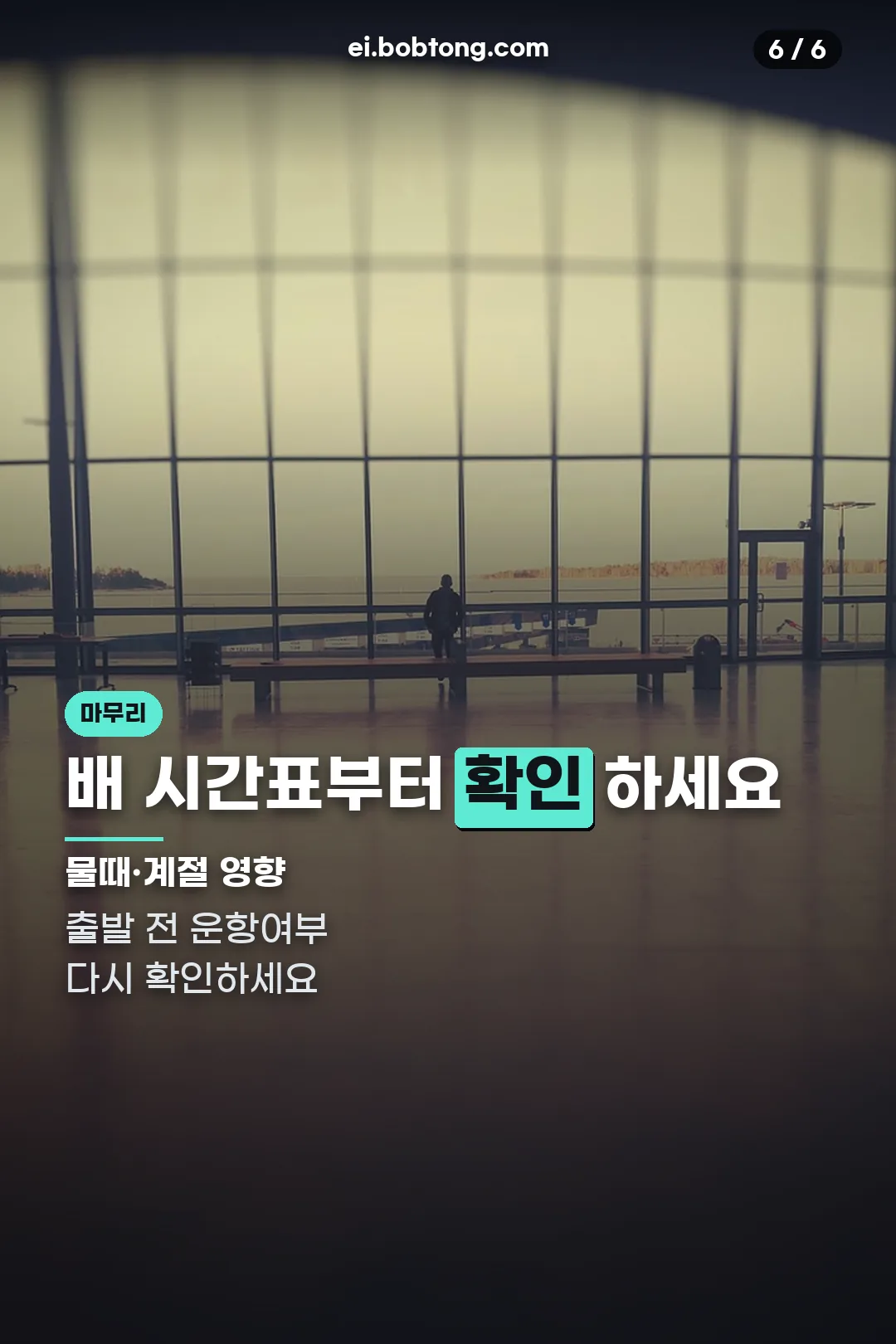 배 시간표 확인 마무리