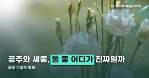 공주 구절초 축제 — 10월 2일 현재 둘째 날, 입장료·주차 정리