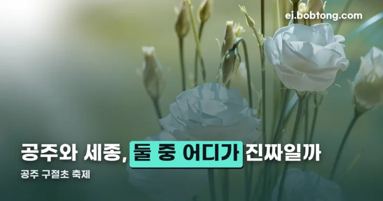공주 구절초 축제 정리 썸네일