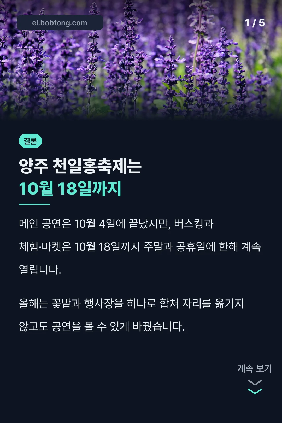 양주 천일홍축제 2026 결론 카드