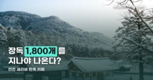 연천 세라비 한옥 카페 — 장독 1,800개를 지나야 나오는 한옥입니다